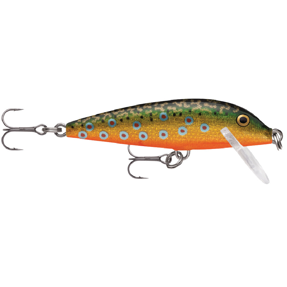 Countdown Brook Trout