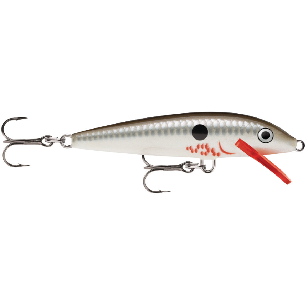 bleeding bait fish lures Dogma - Shad Topwater Lure species spinnerbaits on the market Shop Discount Big Bite Baits
