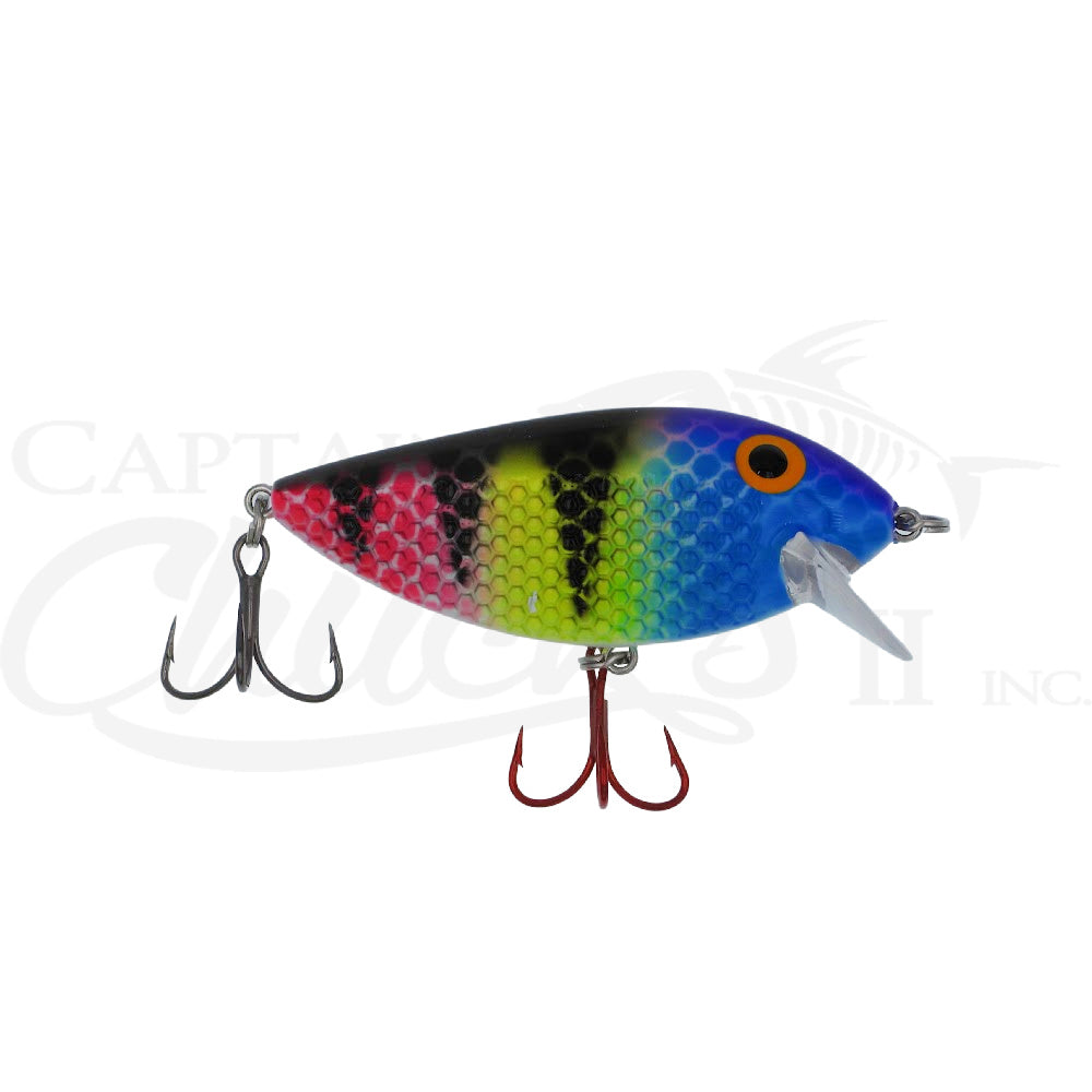 Killer Fish Magic Zebra UV