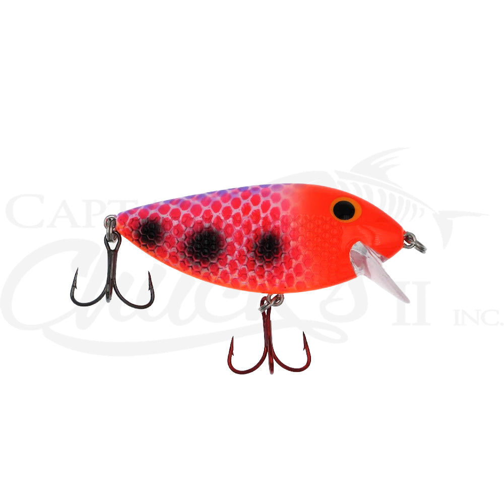 Killer Fish Crazy Town Splatter UV
