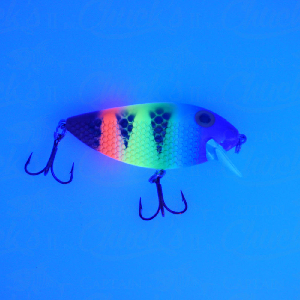 Killer Fish Nascar UV
