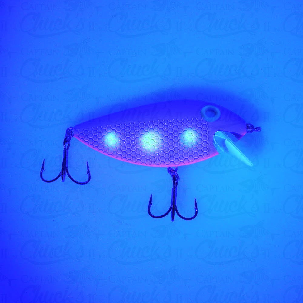 Killer Fish Muffin UV