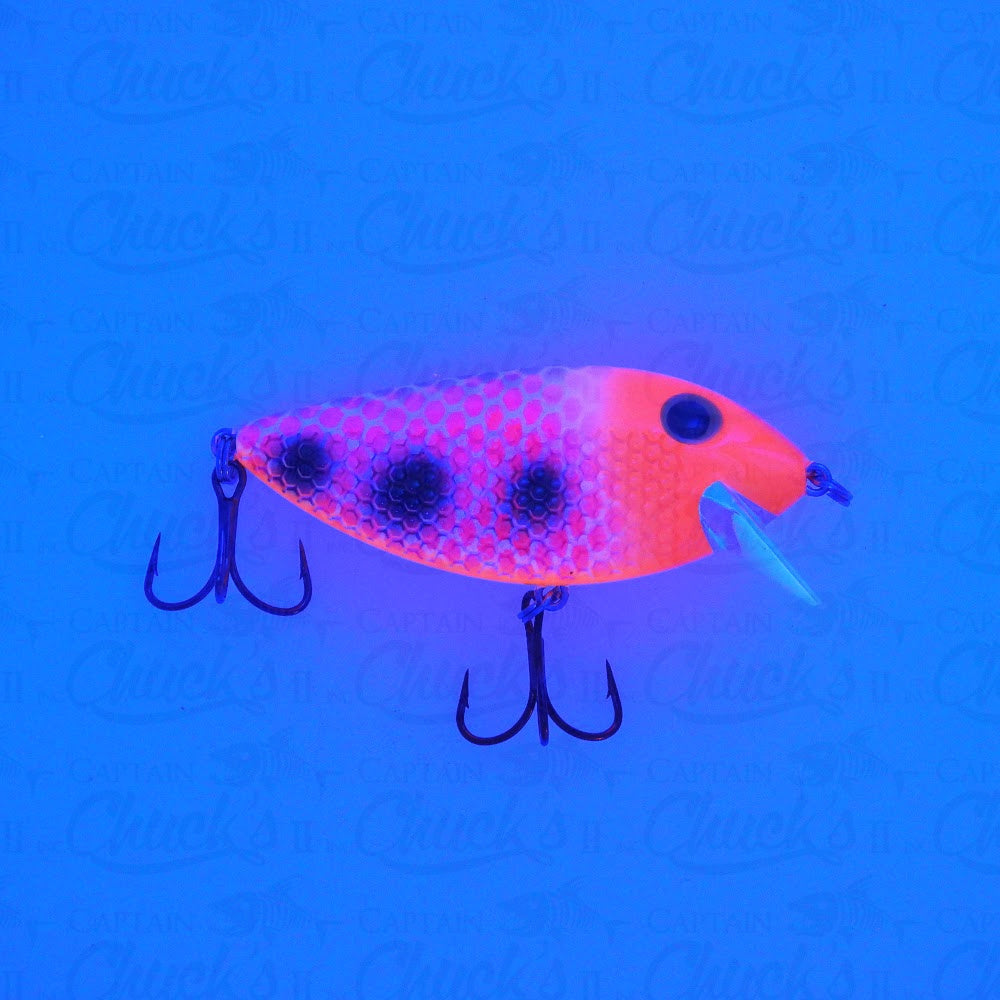 Killer Fish Crazy Town Splatter UV