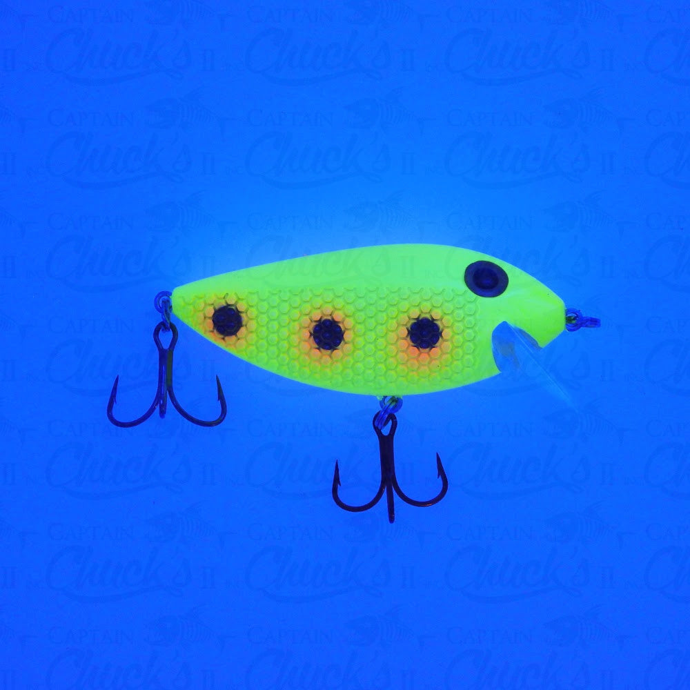 Killer Fish Bozo UV