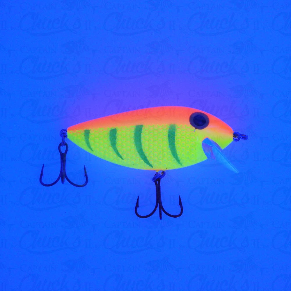 Killer Fish Tiger UV