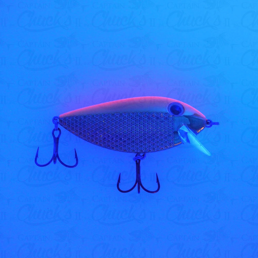 Killer Fish OG Gold Orange UV