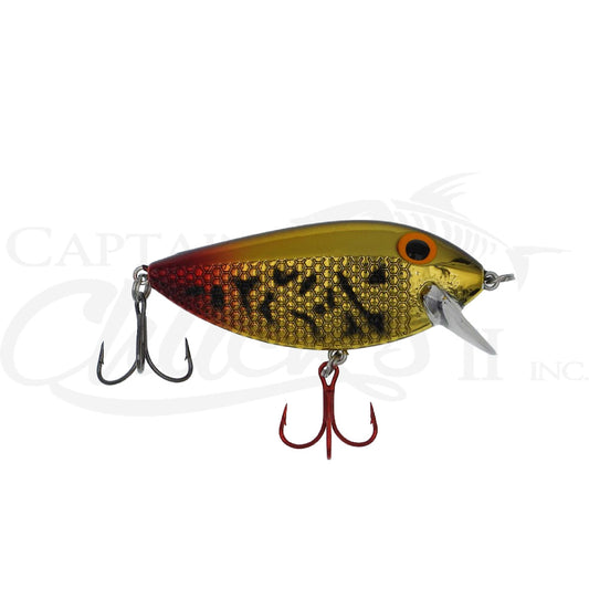 Killer Fish Gold Fire Tail UV
