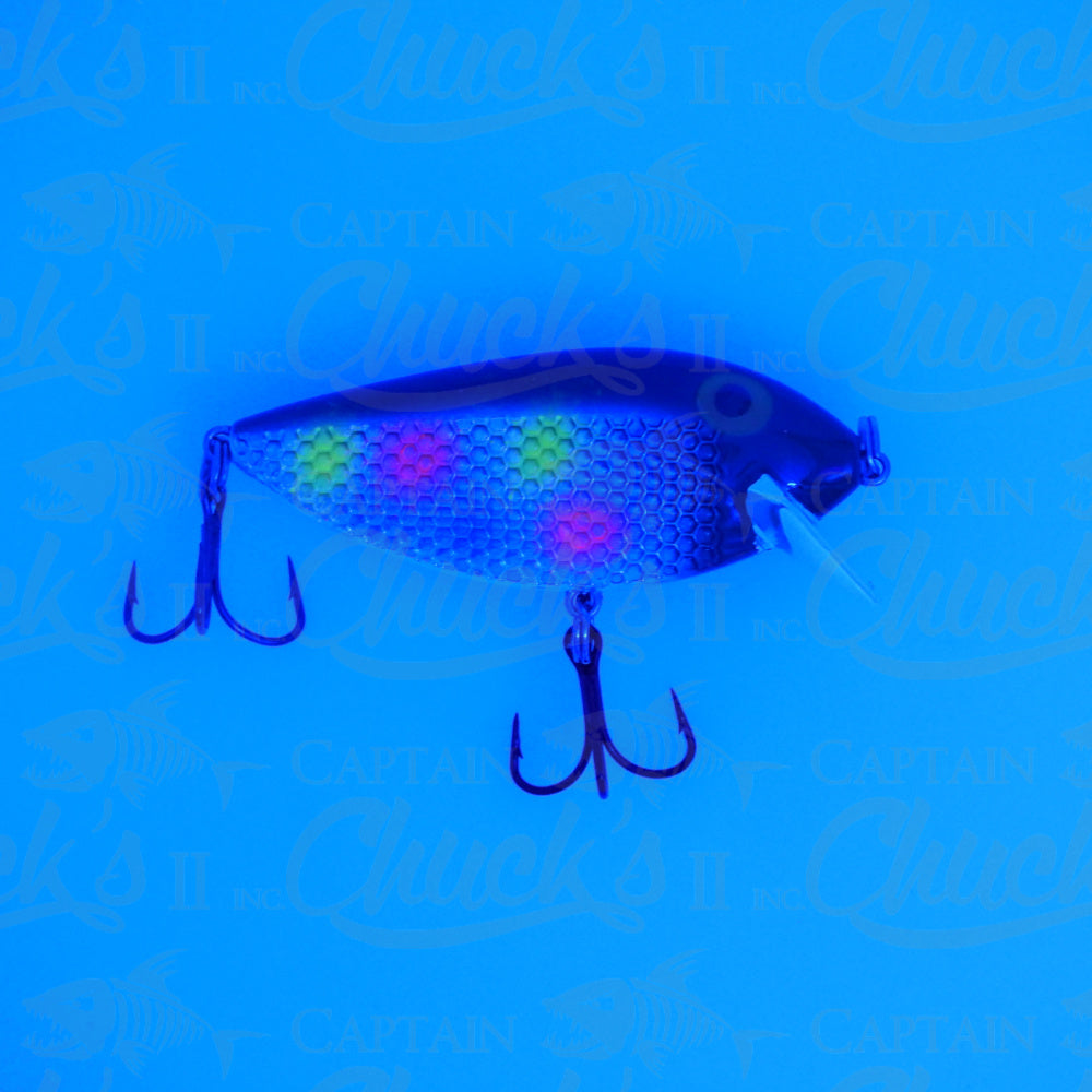 Killer Fish Dirty Bread UV