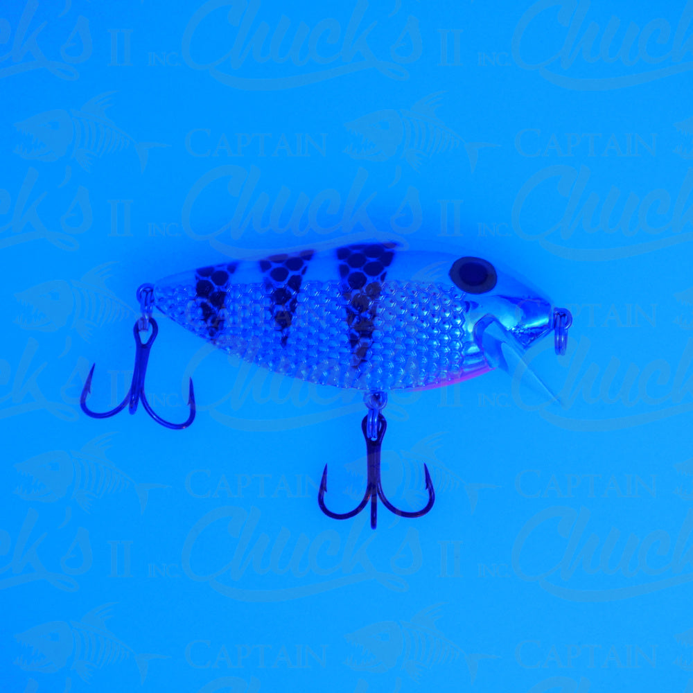 Killer Fish Blue Chrome Tiger UV