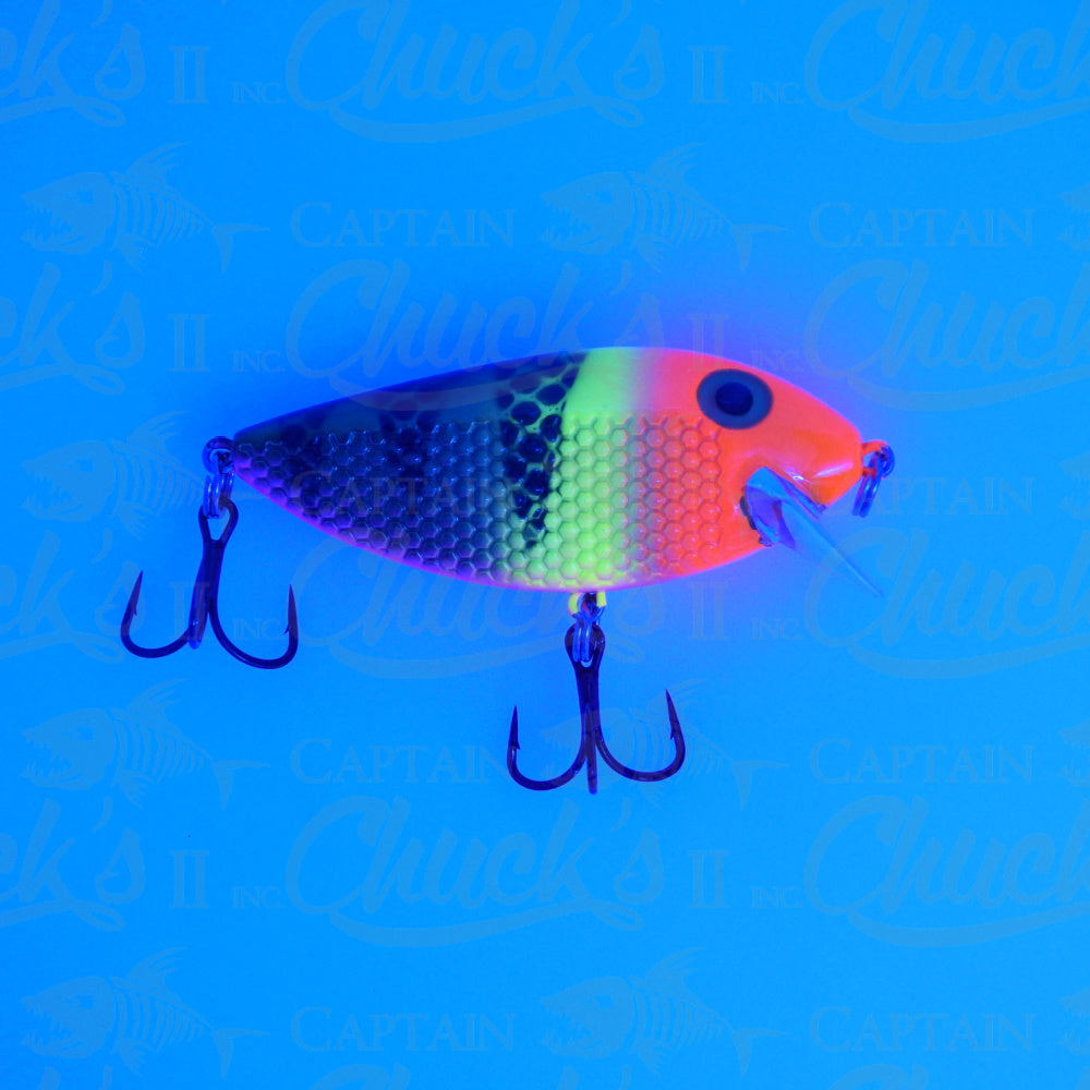 Killer Fish Gold Lemonade UV