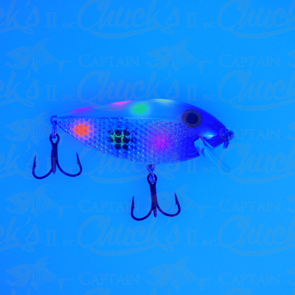 Killer Fish Purple Party UV