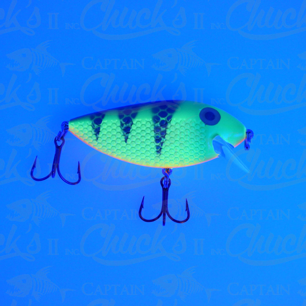 Killer Fish Fire Tiger UV