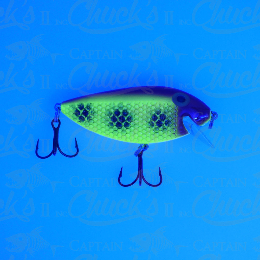 Killer Fish Sunburst UV