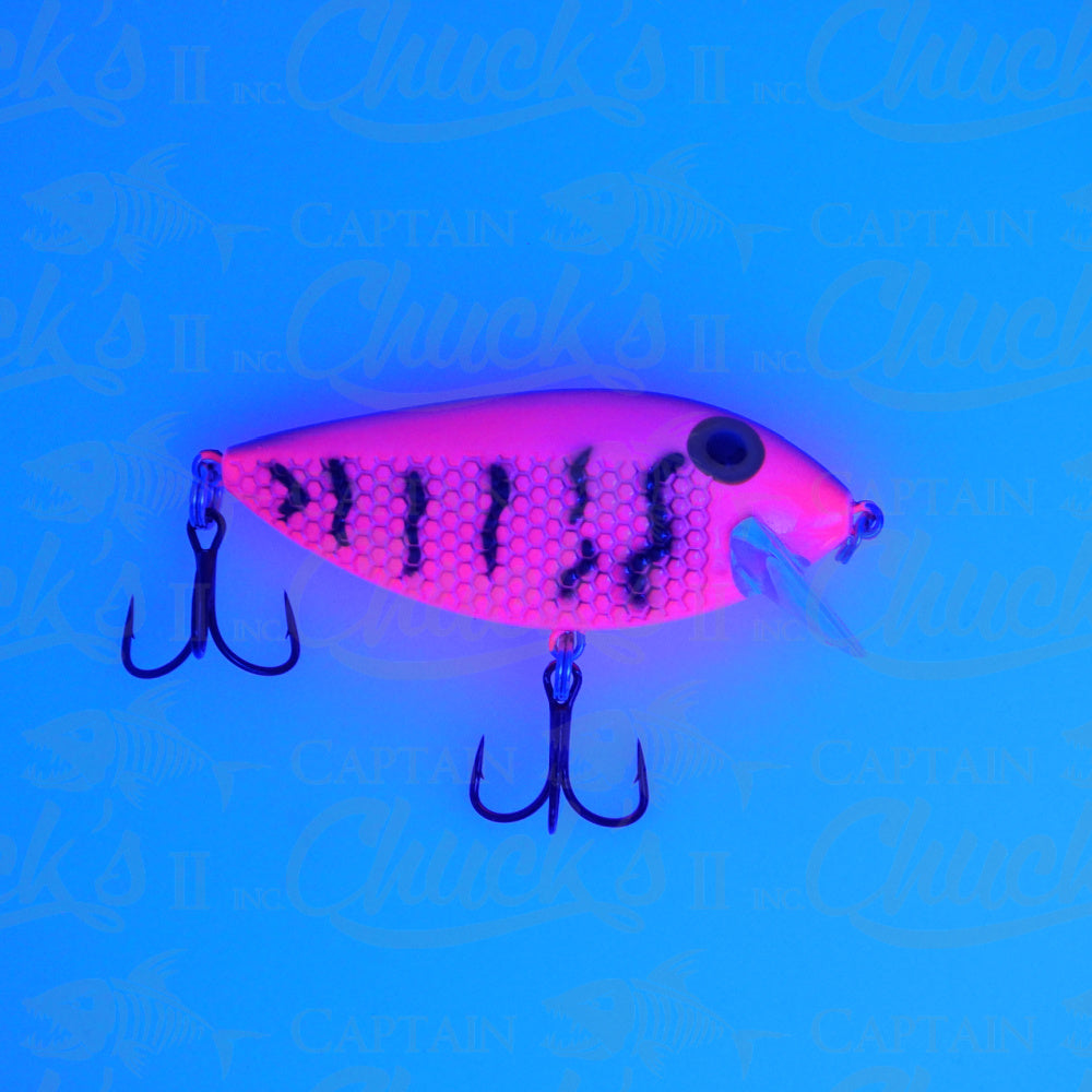 Killer Fish Pink Squiggles UV
