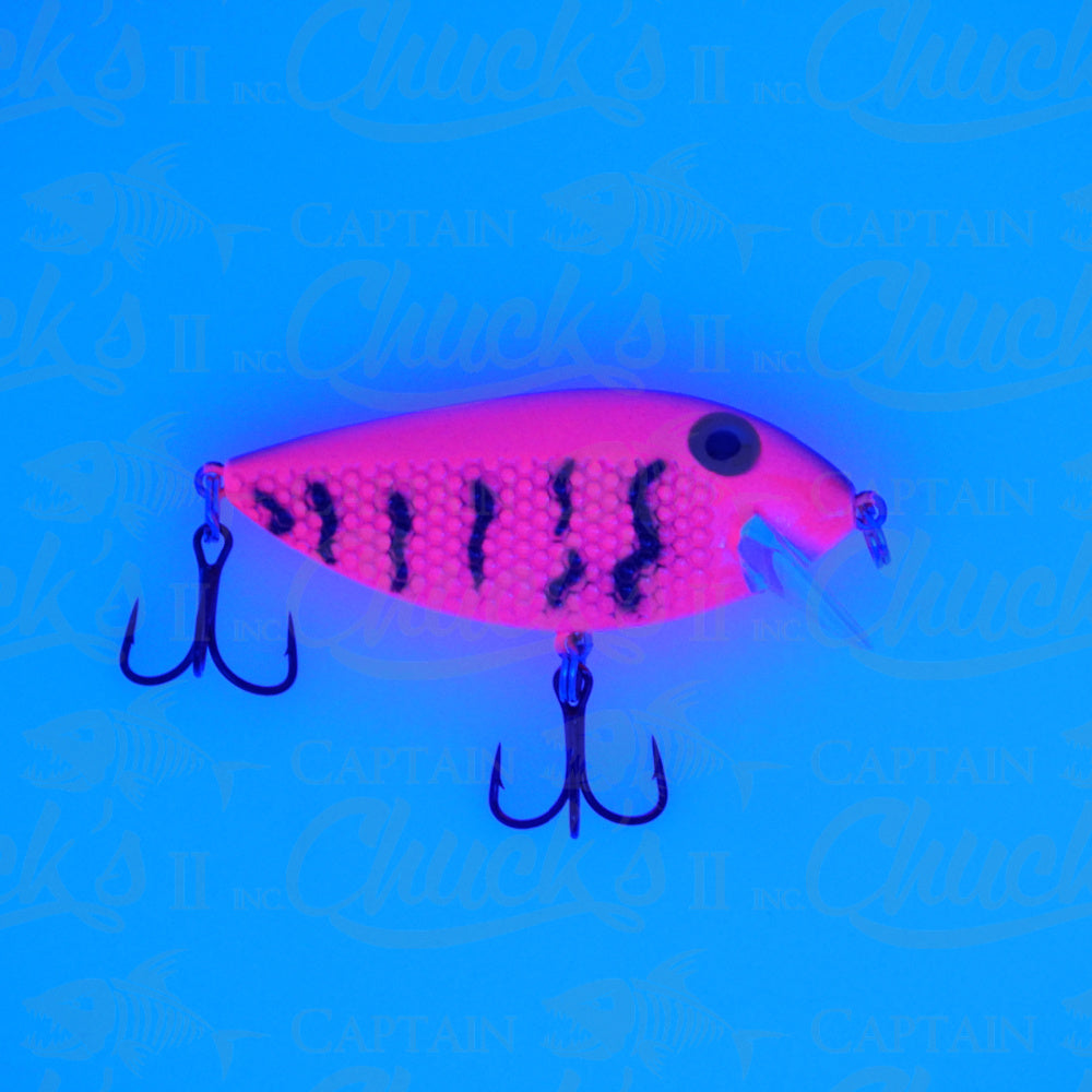 Killer Fish Ultra Glow Red Squiggles UV