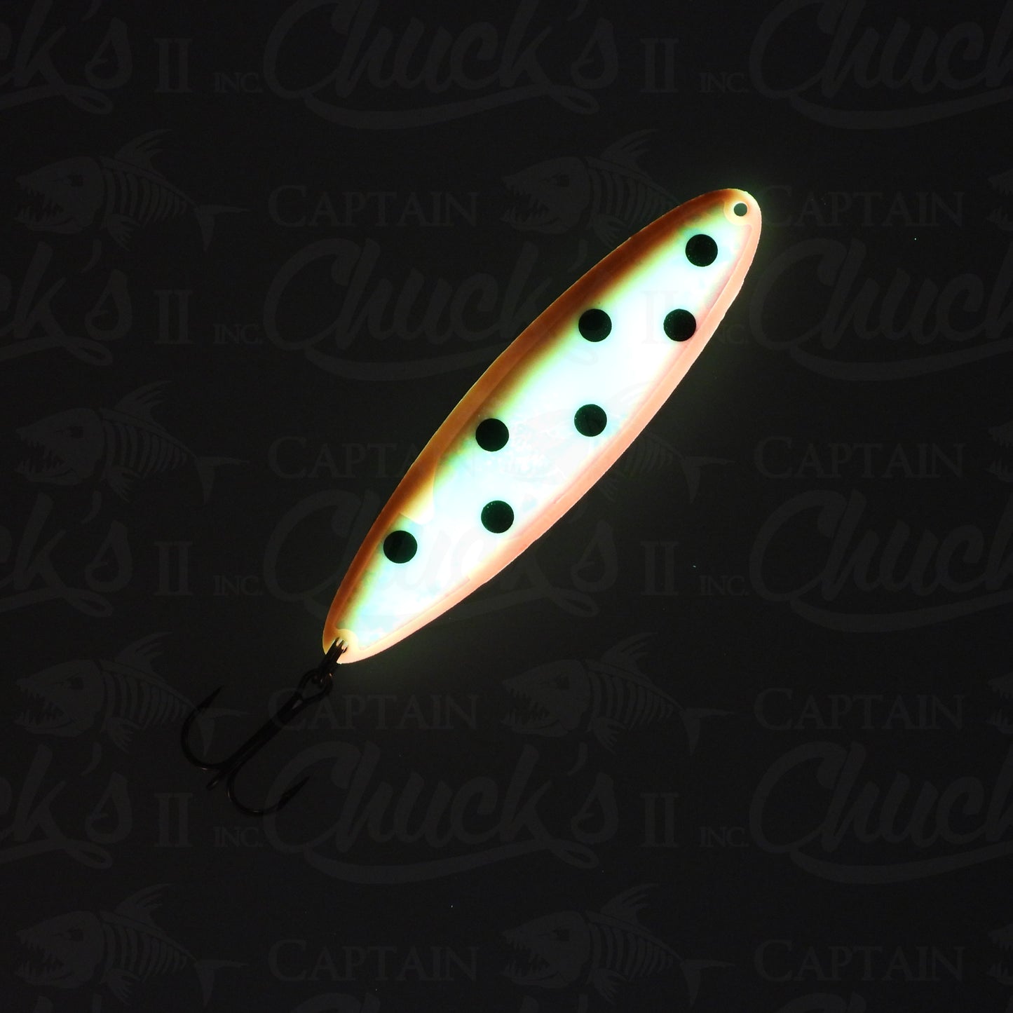 MoonMaster RV Custom Jaybird