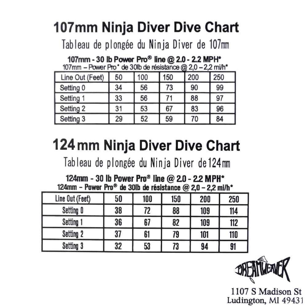 Ninja Diver Black