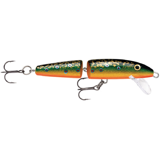 Jointed Brook Trout
