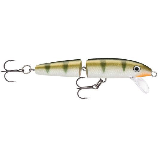 Jointed Yellow Perch